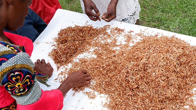 global crayfish trade