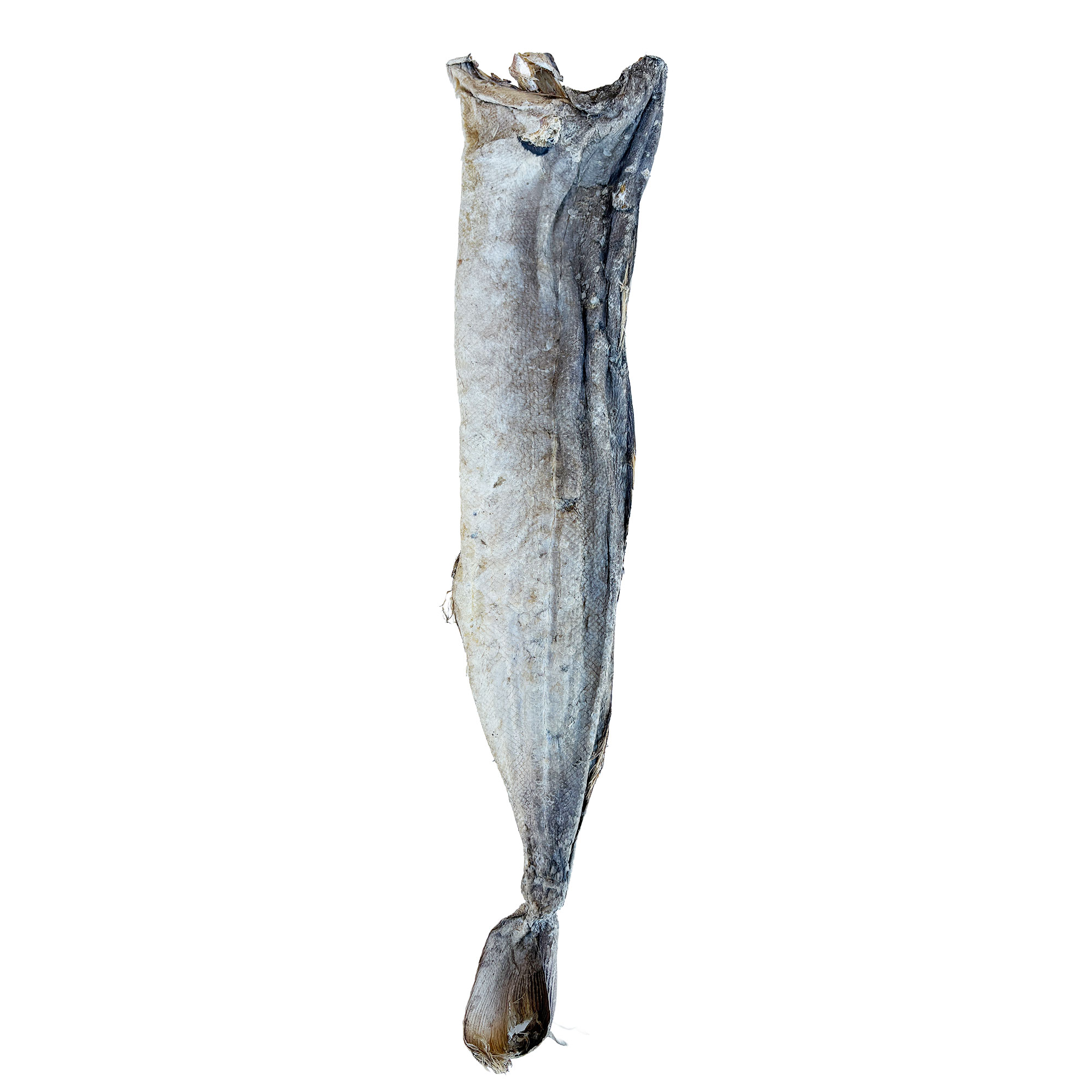 Mbariket Stockfish | 100% Nigeria