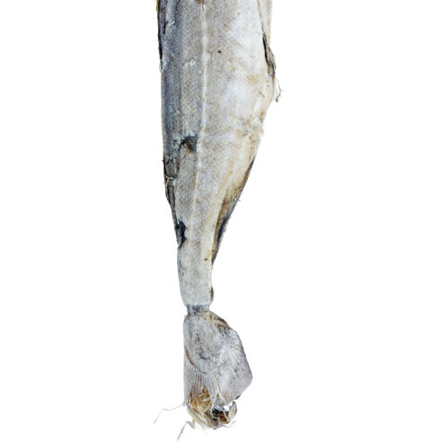 Mbariket Stockfish | 100% Nigeria - Image 4