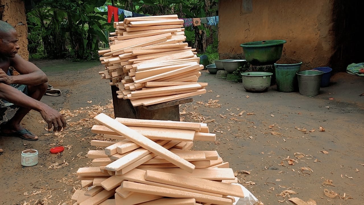 Nigerians in the Diaspora: Instead of Sending Remittances, Create Jobs Back Home